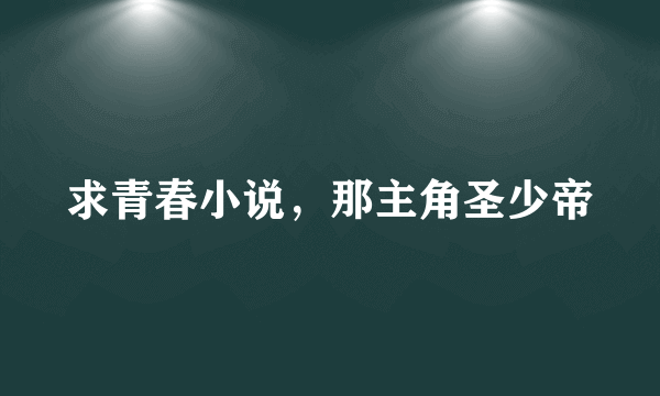 求青春小说，那主角圣少帝