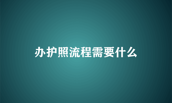 办护照流程需要什么