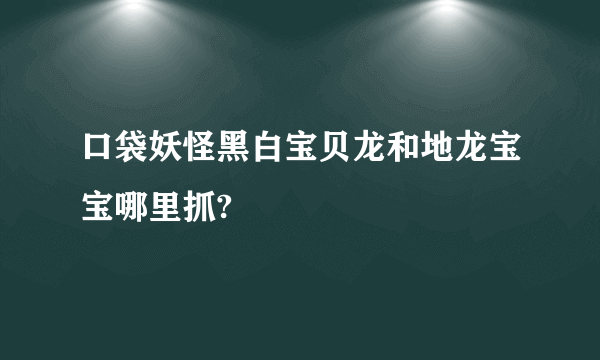 口袋妖怪黑白宝贝龙和地龙宝宝哪里抓?