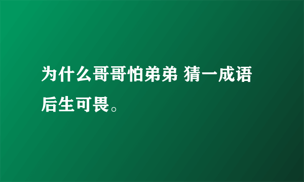 为什么哥哥怕弟弟 猜一成语后生可畏。