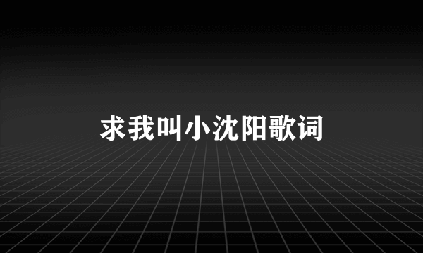 求我叫小沈阳歌词