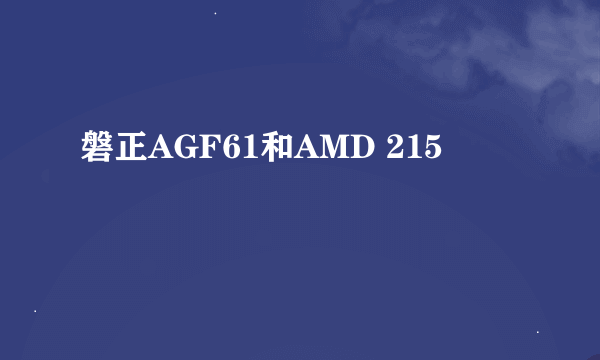 磐正AGF61和AMD 215