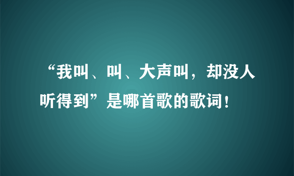 “我叫、叫、大声叫，却没人听得到”是哪首歌的歌词！