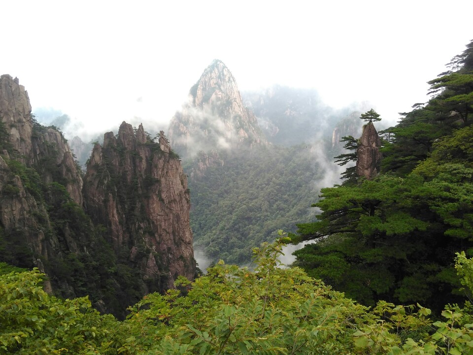 这张黄山奇石图片的名称是什么？急