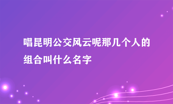 唱昆明公交风云呢那几个人的组合叫什么名字