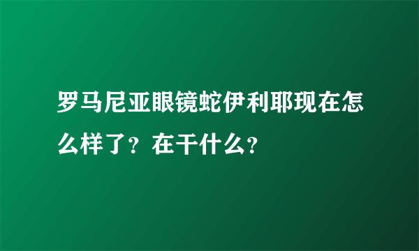 罗马尼亚眼镜蛇伊利耶现在怎么样了？在干什么？