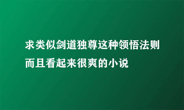 求类似剑道独尊这种领悟法则而且看起来很爽的小说