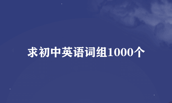 求初中英语词组1000个