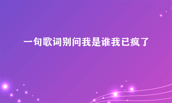 一句歌词别问我是谁我已疯了