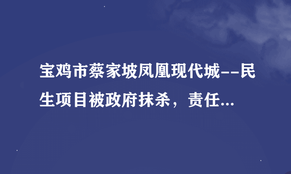 宝鸡市蔡家坡凤凰现代城--民生项目被政府抹杀，责任应该由谁来承担