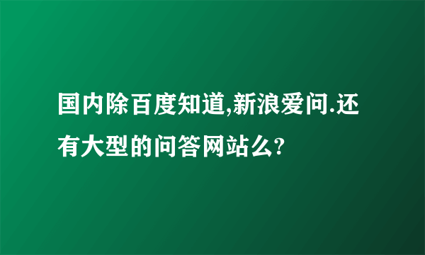 国内除百度知道,新浪爱问.还有大型的问答网站么?