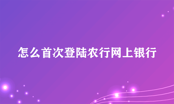 怎么首次登陆农行网上银行