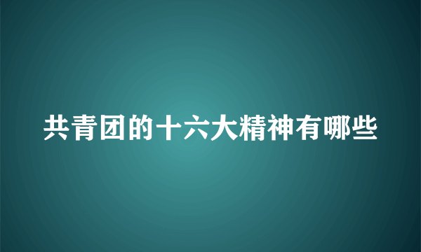 共青团的十六大精神有哪些