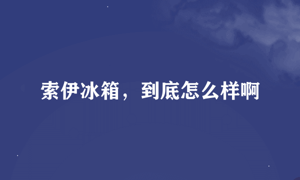 索伊冰箱，到底怎么样啊