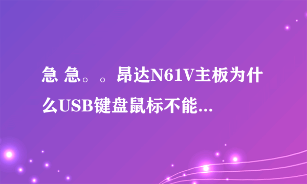 急 急。。昂达N61V主板为什么USB键盘鼠标不能用，圆口的都可以！U 盘可以