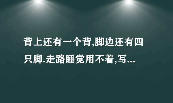 背上还有一个背,脚边还有四只脚.走路睡觉用不着,写字画画要用它.猜一生肖