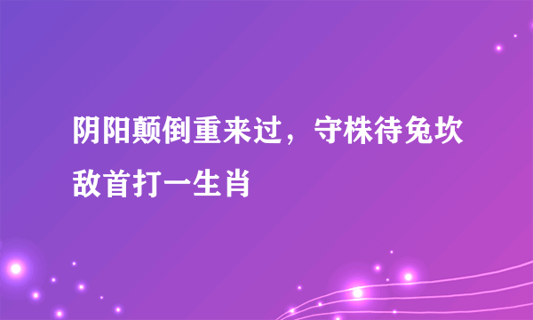 阴阳颠倒重来过，守株待兔坎敌首打一生肖