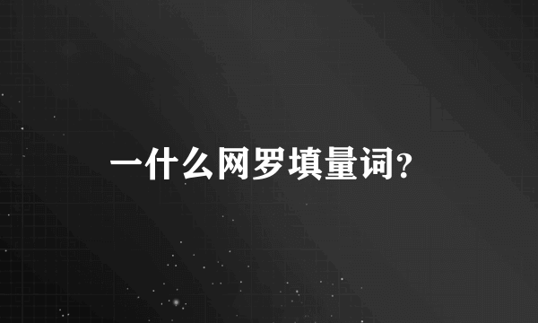 一什么网罗填量词？