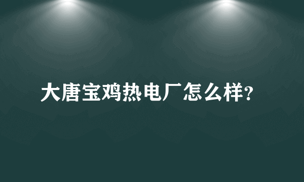 大唐宝鸡热电厂怎么样？