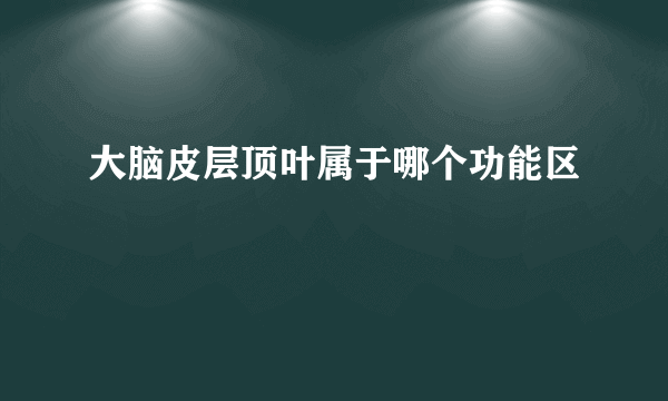 大脑皮层顶叶属于哪个功能区