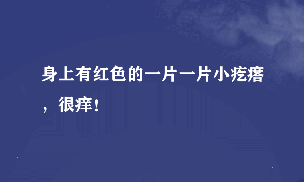 身上有红色的一片一片小疙瘩，很痒！