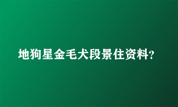 地狗星金毛犬段景住资料？