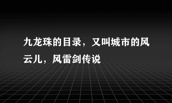 九龙珠的目录，又叫城市的风云儿，风雷剑传说