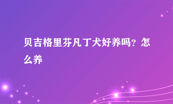 贝吉格里芬凡丁犬好养吗？怎么养