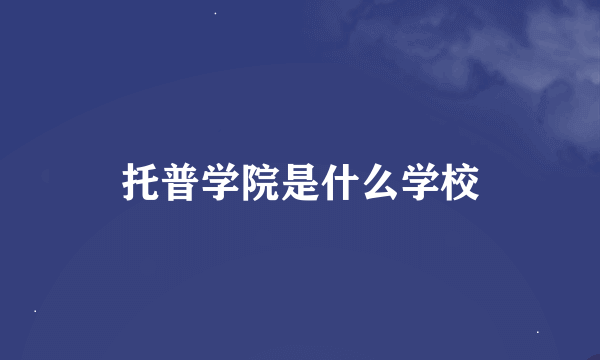 托普学院是什么学校