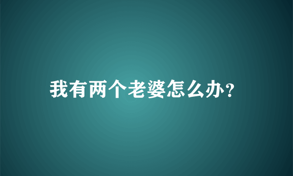 我有两个老婆怎么办？