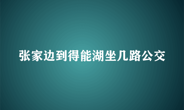 张家边到得能湖坐几路公交