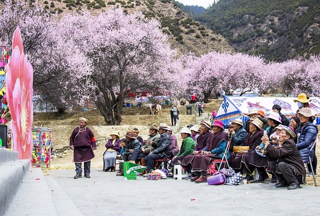 春天最适合去哪些地方游玩？