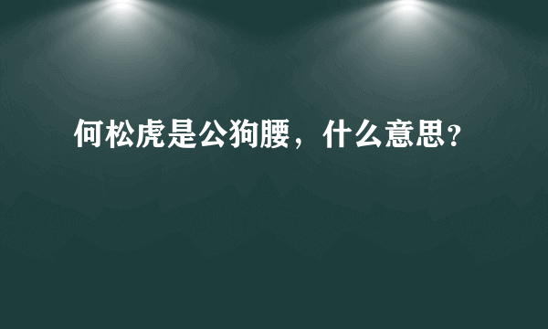 何松虎是公狗腰，什么意思？