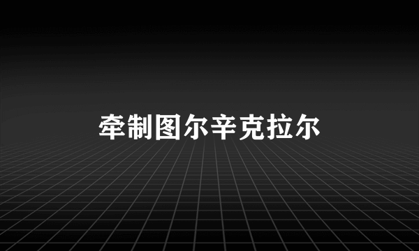 牵制图尔辛克拉尔