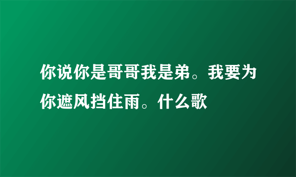 你说你是哥哥我是弟。我要为你遮风挡住雨。什么歌