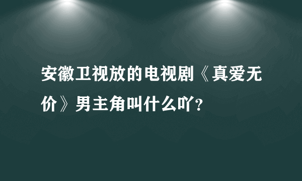 安徽卫视放的电视剧《真爱无价》男主角叫什么吖？