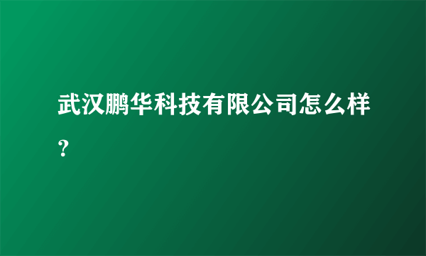 武汉鹏华科技有限公司怎么样？