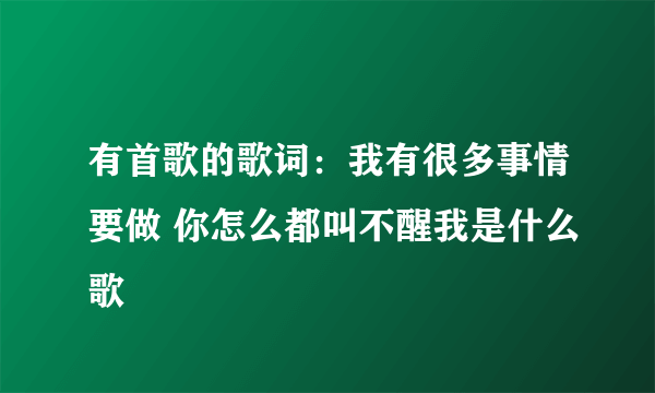 有首歌的歌词：我有很多事情要做 你怎么都叫不醒我是什么歌