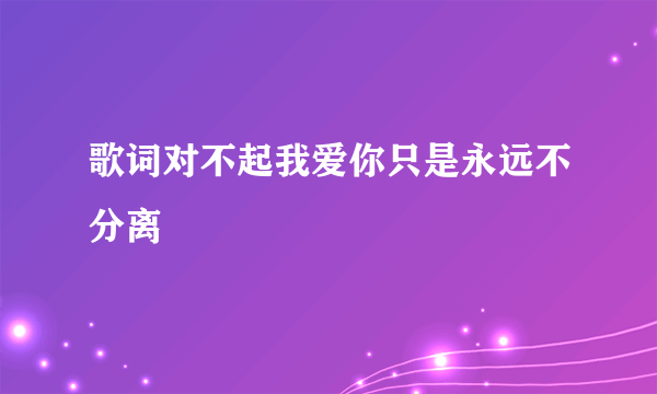 歌词对不起我爱你只是永远不分离