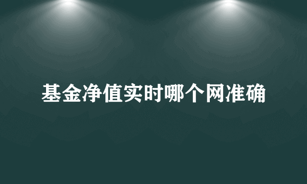 基金净值实时哪个网准确