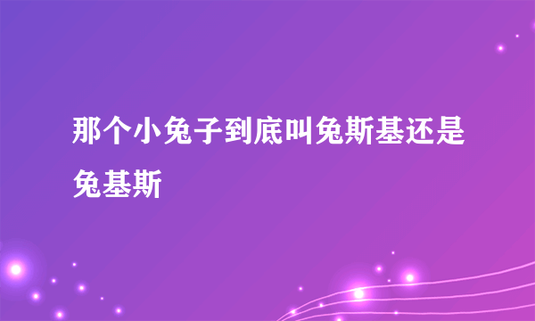 那个小兔子到底叫兔斯基还是兔基斯