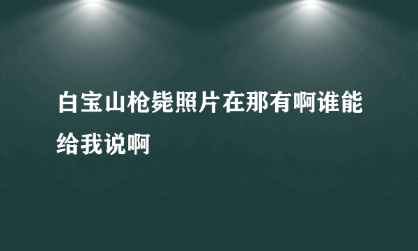 白宝山枪毙照片在那有啊谁能给我说啊