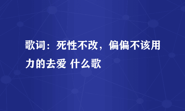 歌词：死性不改，偏偏不该用力的去爱 什么歌