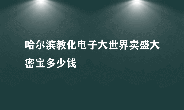 哈尔滨教化电子大世界卖盛大密宝多少钱