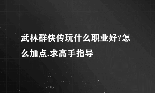 武林群侠传玩什么职业好?怎么加点.求高手指导