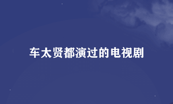 车太贤都演过的电视剧