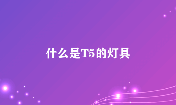 什么是T5的灯具