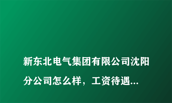 
新东北电气集团有限公司沈阳分公司怎么样，工资待遇，未来发展怎么样

