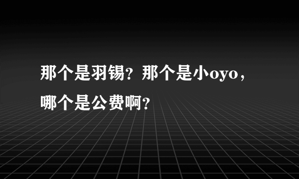 那个是羽锡？那个是小oyo，哪个是公费啊？