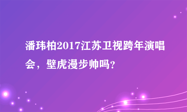 潘玮柏2017江苏卫视跨年演唱会，壁虎漫步帅吗？